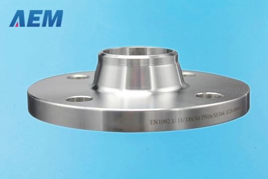 Titanium Flange