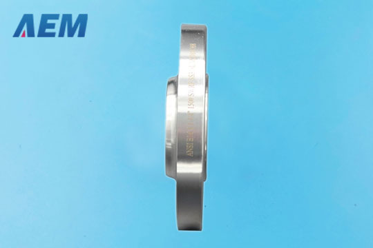 Titanium Flange