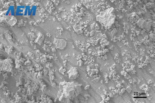 Molybdenum Disulfide Powder