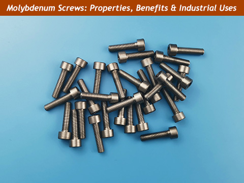 Molybdenum screws guide